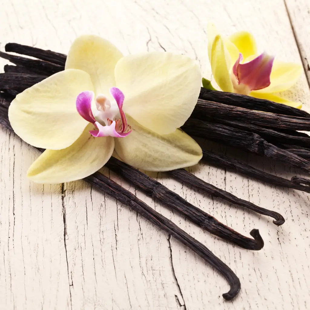 Vanilla