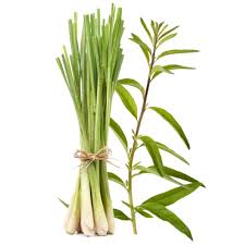 Lemongrass Fragrance oil