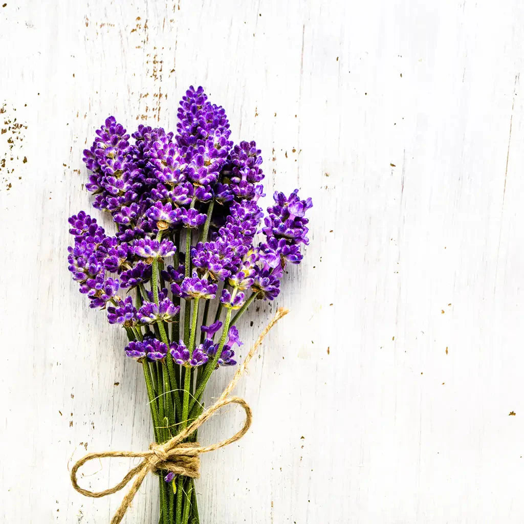 Lavender Fragrance Oil