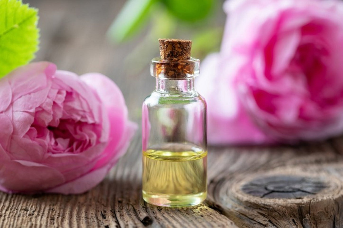 Rose Fragrance Oil